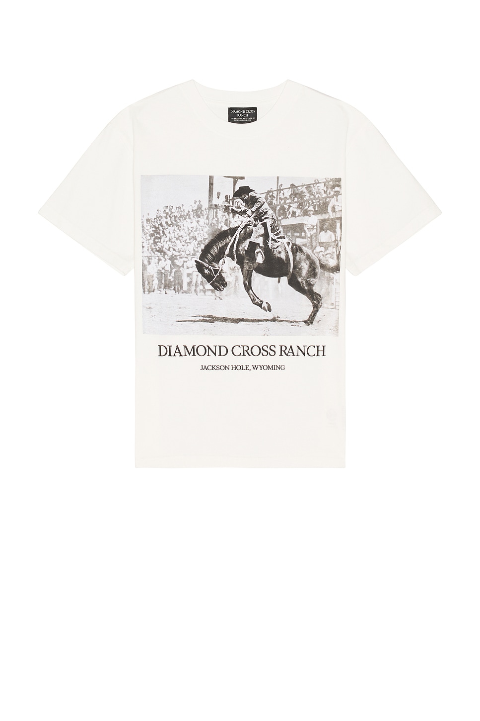 Walter Riding Tee