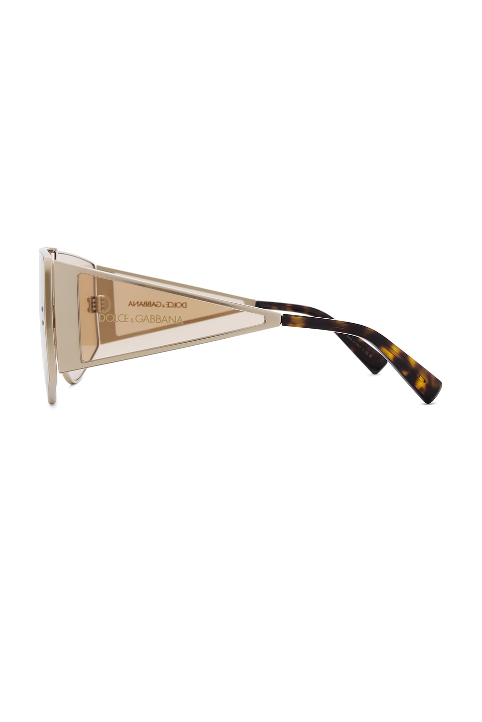 Shield Sunglasses