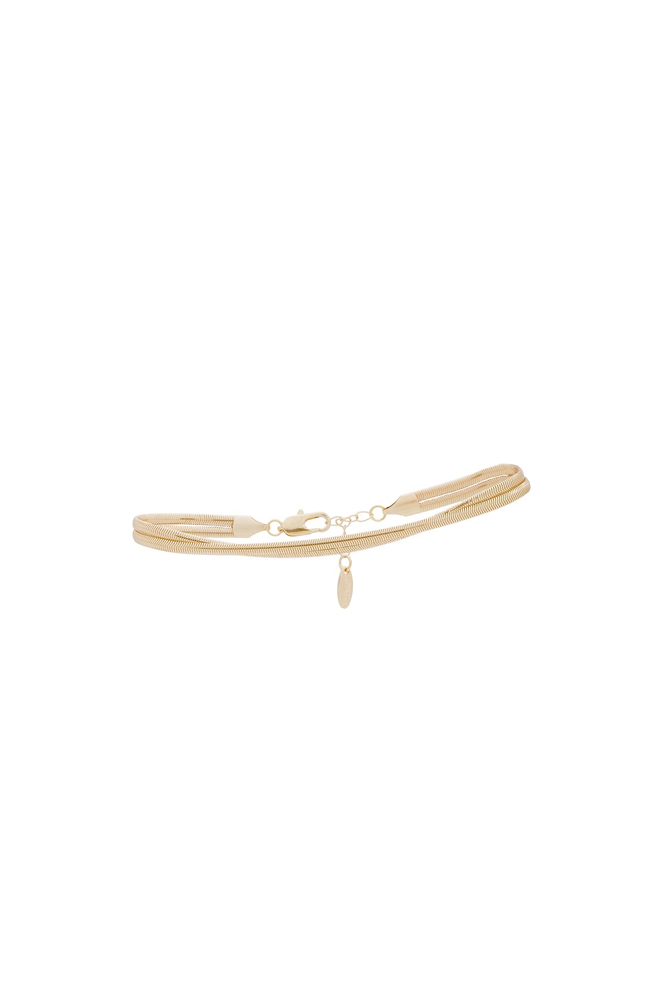 Slinky Snake Double Chain Anklet
