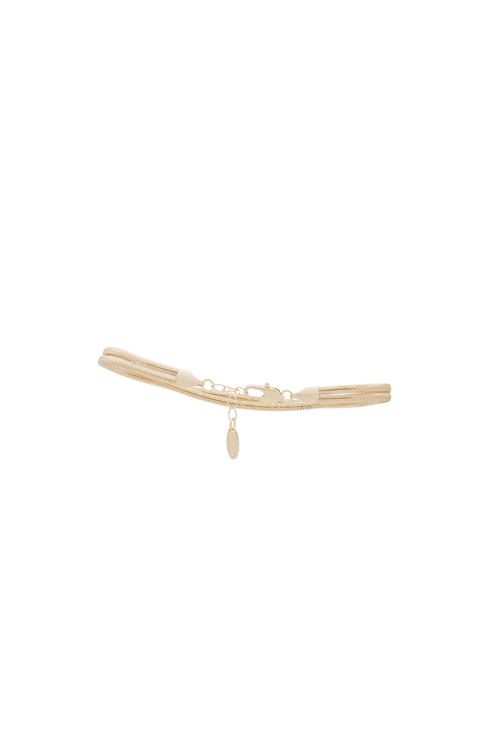 Slinky Snake Double Chain Anklet