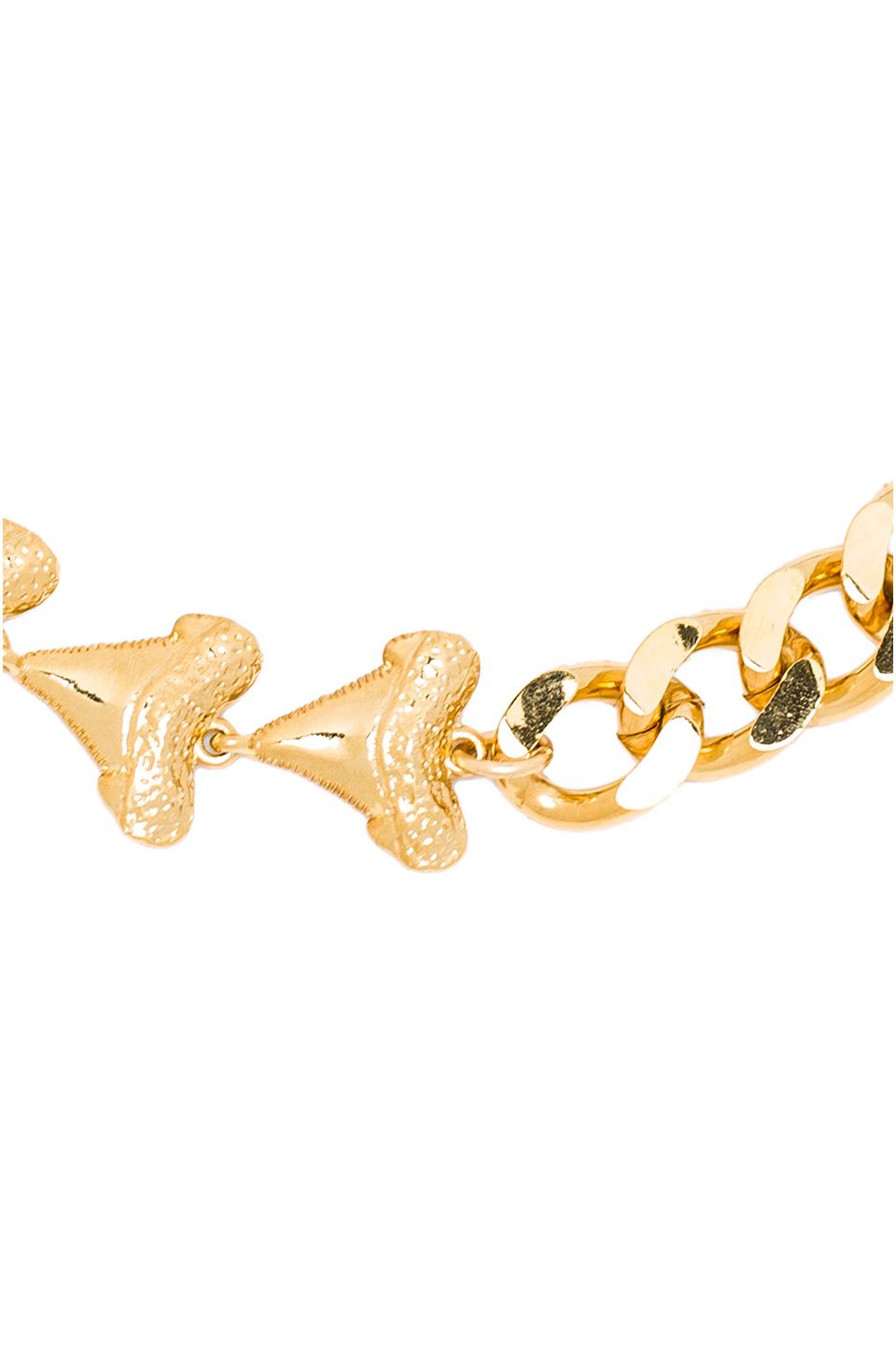 Ettika Shark Tooth Chain Necklace in Gold
