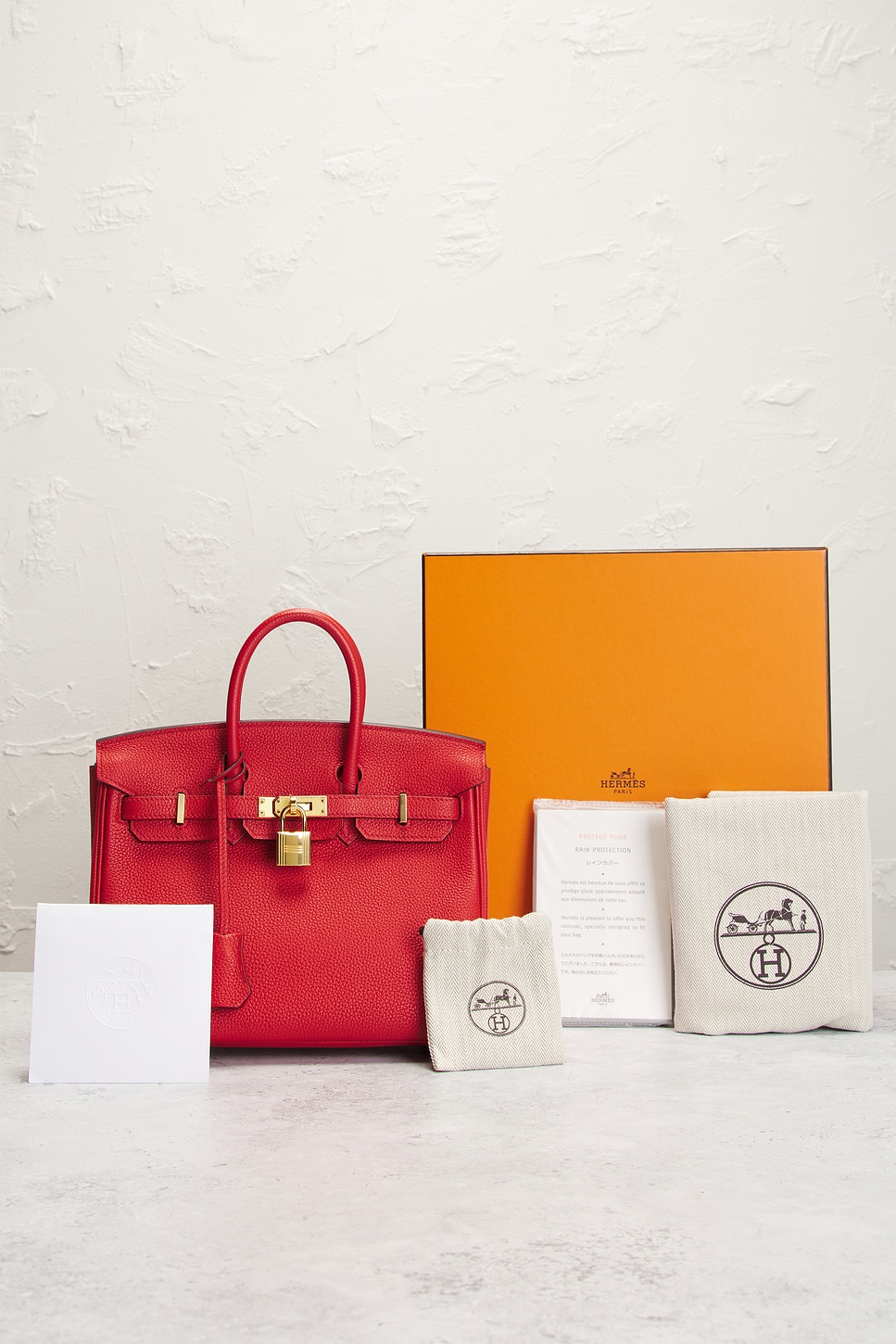 Hermes Togo Birkin 25 Handbag
