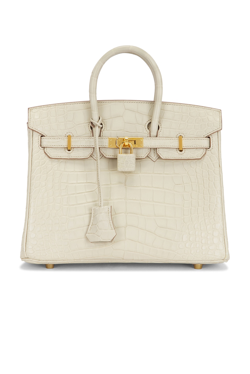 Hermes Matte Alligator Birkin 25 Handbag