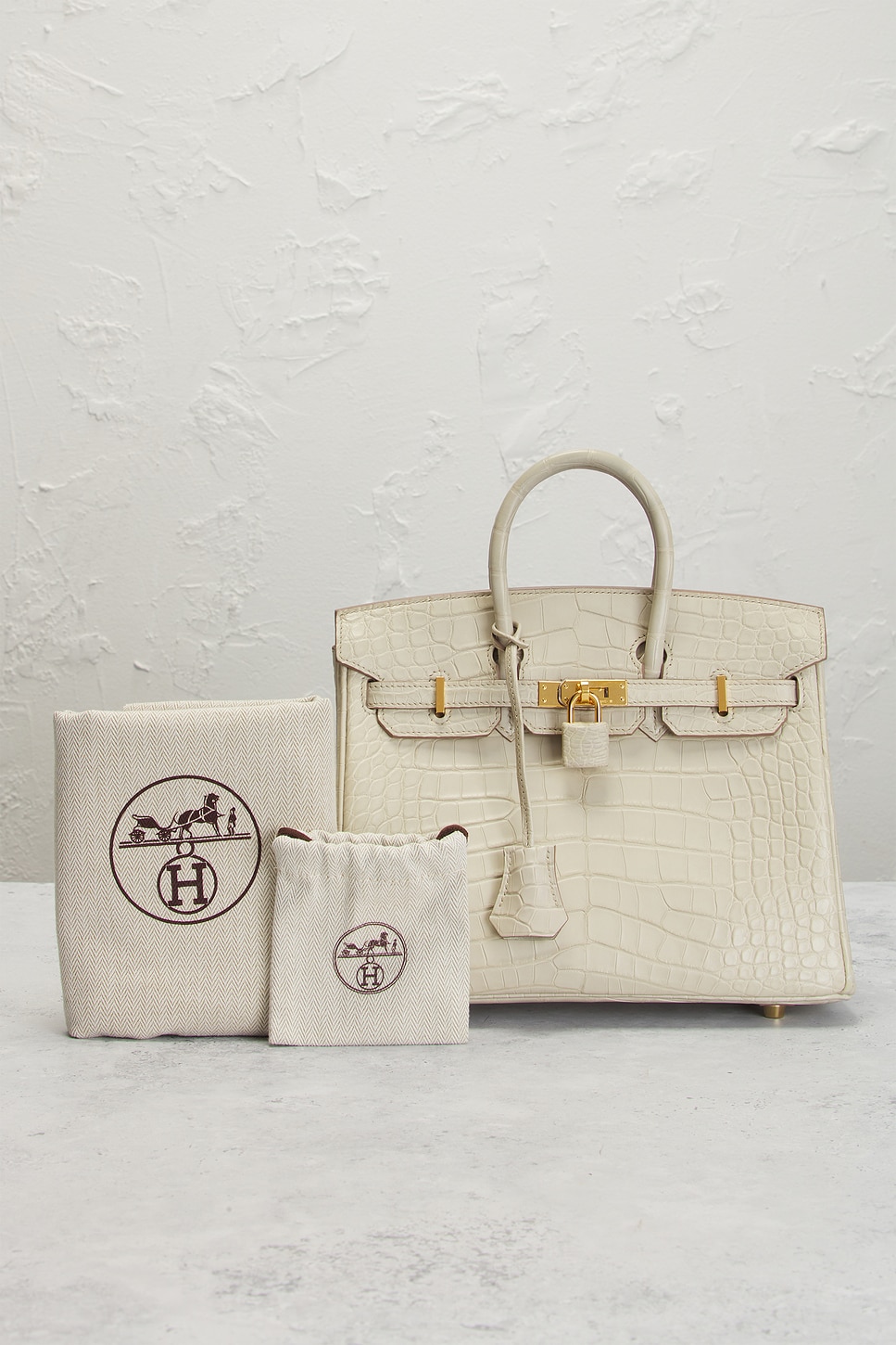 Hermes Matte Alligator Birkin 25 Handbag