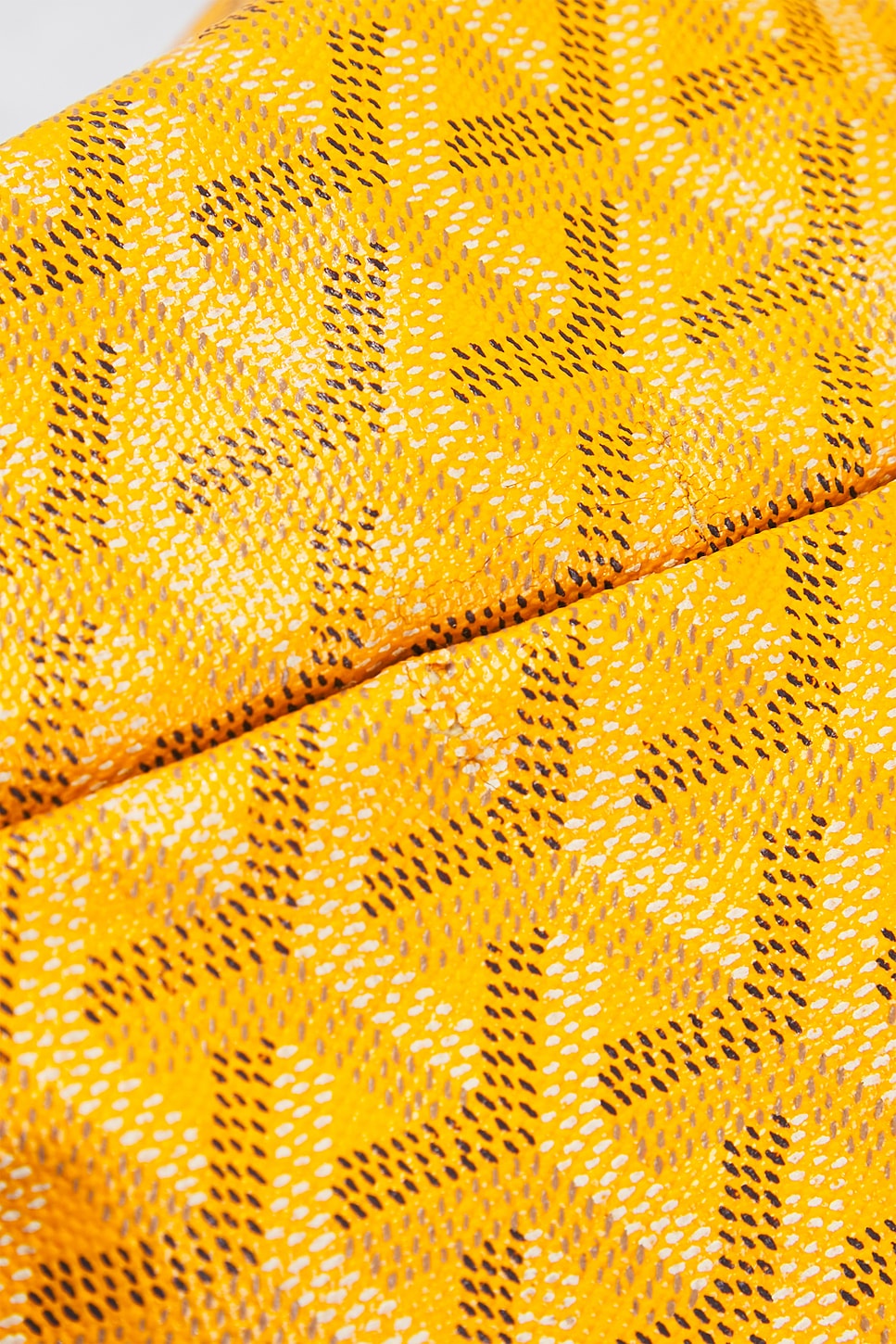 Goyard Saint Louis PM Tote Bag