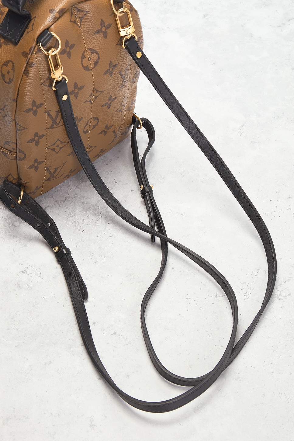 Louis Vuitton Monogram Palm Springs NM Mini Backpack