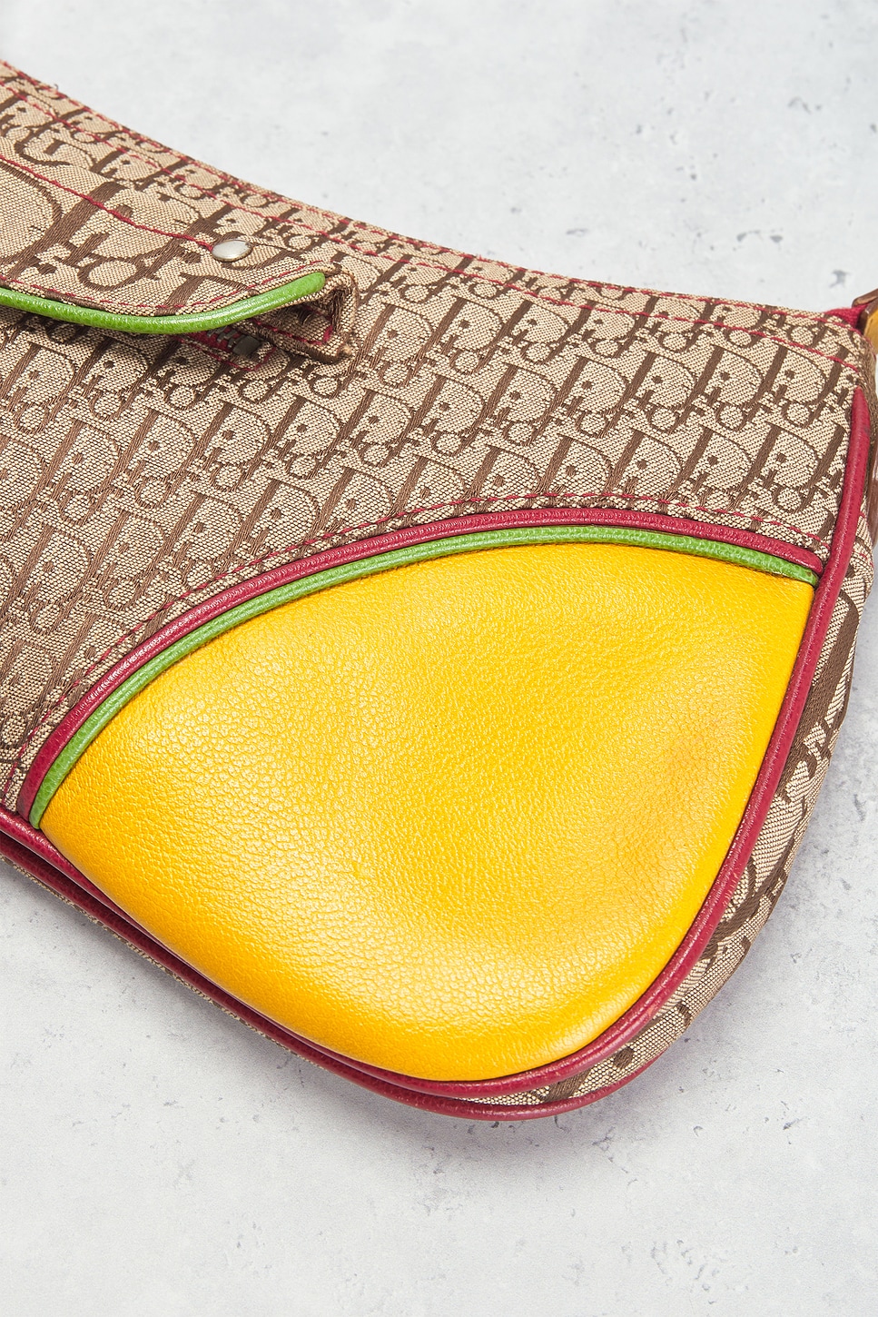 Dior Rasta Trotter Double Saddle Bag