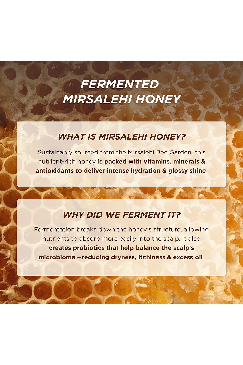 Honey Gloss Ceramide Therapy Hydrating Shampoo - thumbnail 3