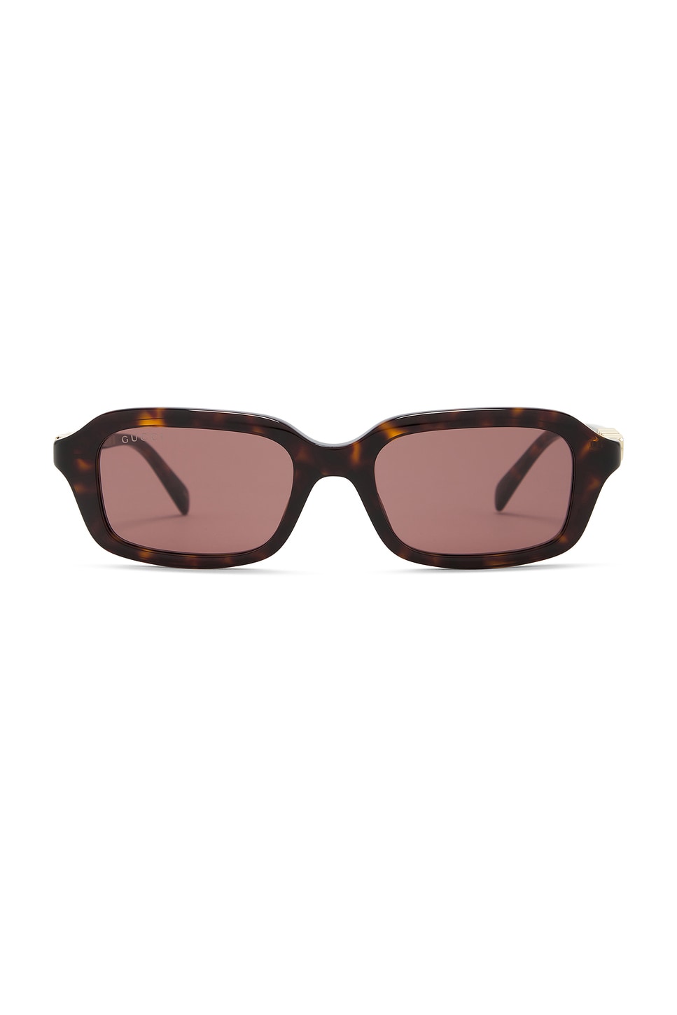 Gucci サングラス - Havana & Brown | REVOLVE