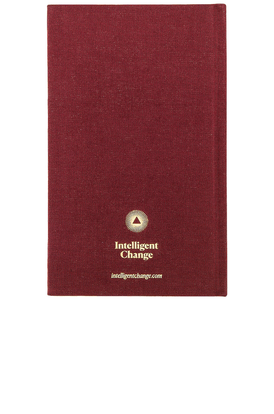 Intelligent Change x REVOLVE Five Minute Journal in Merlot