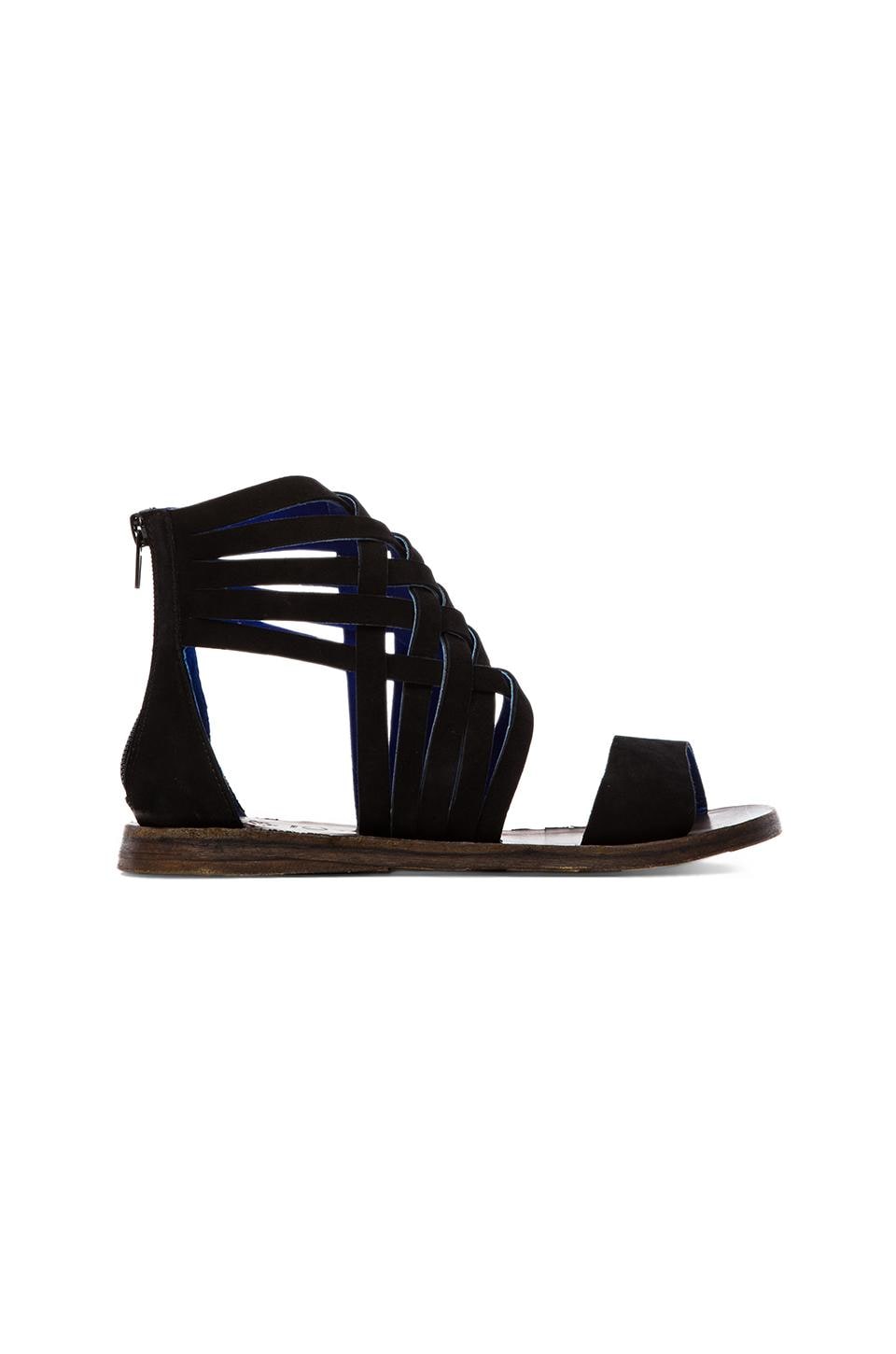 jeffrey campbell gladiator