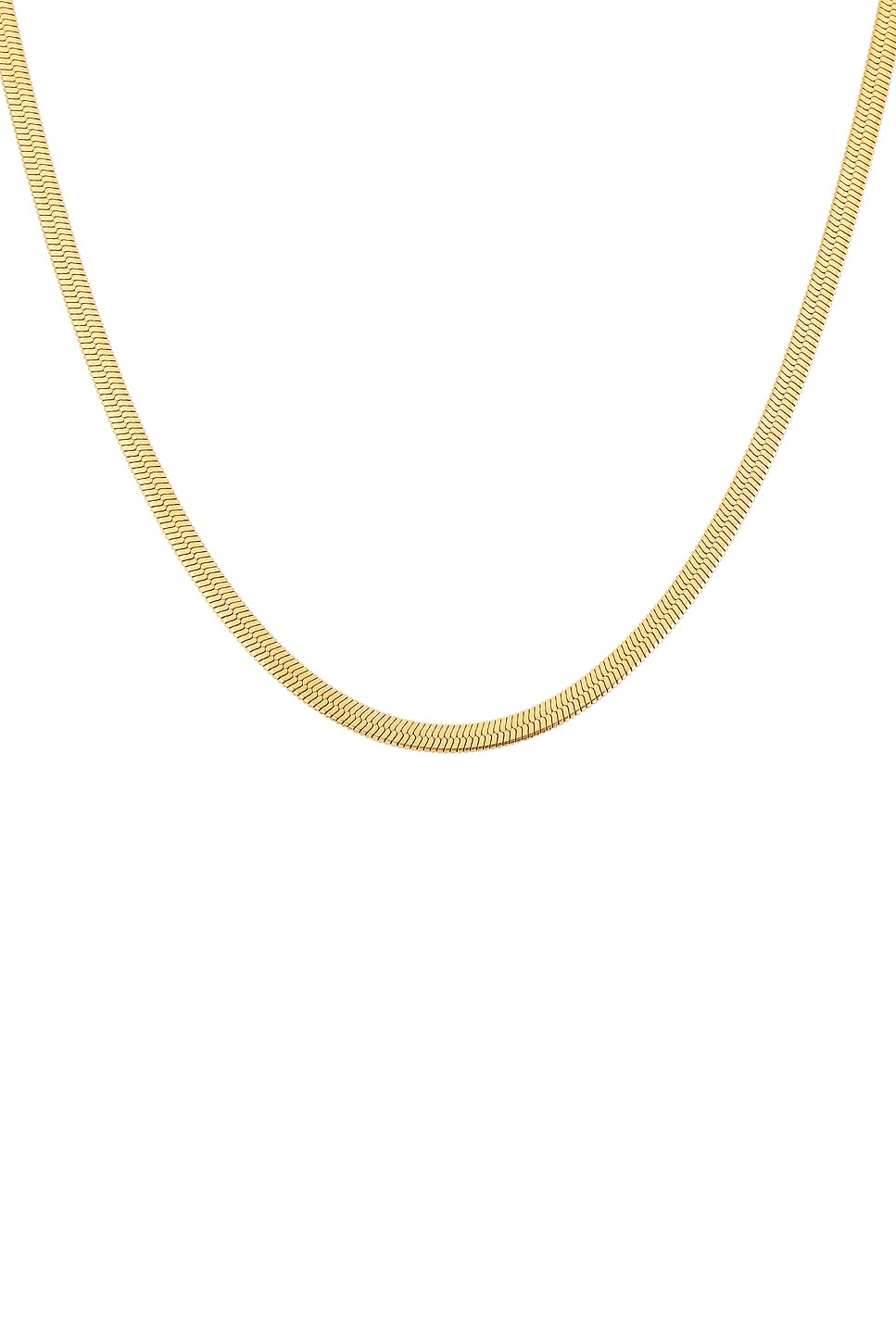 Zeina Chain