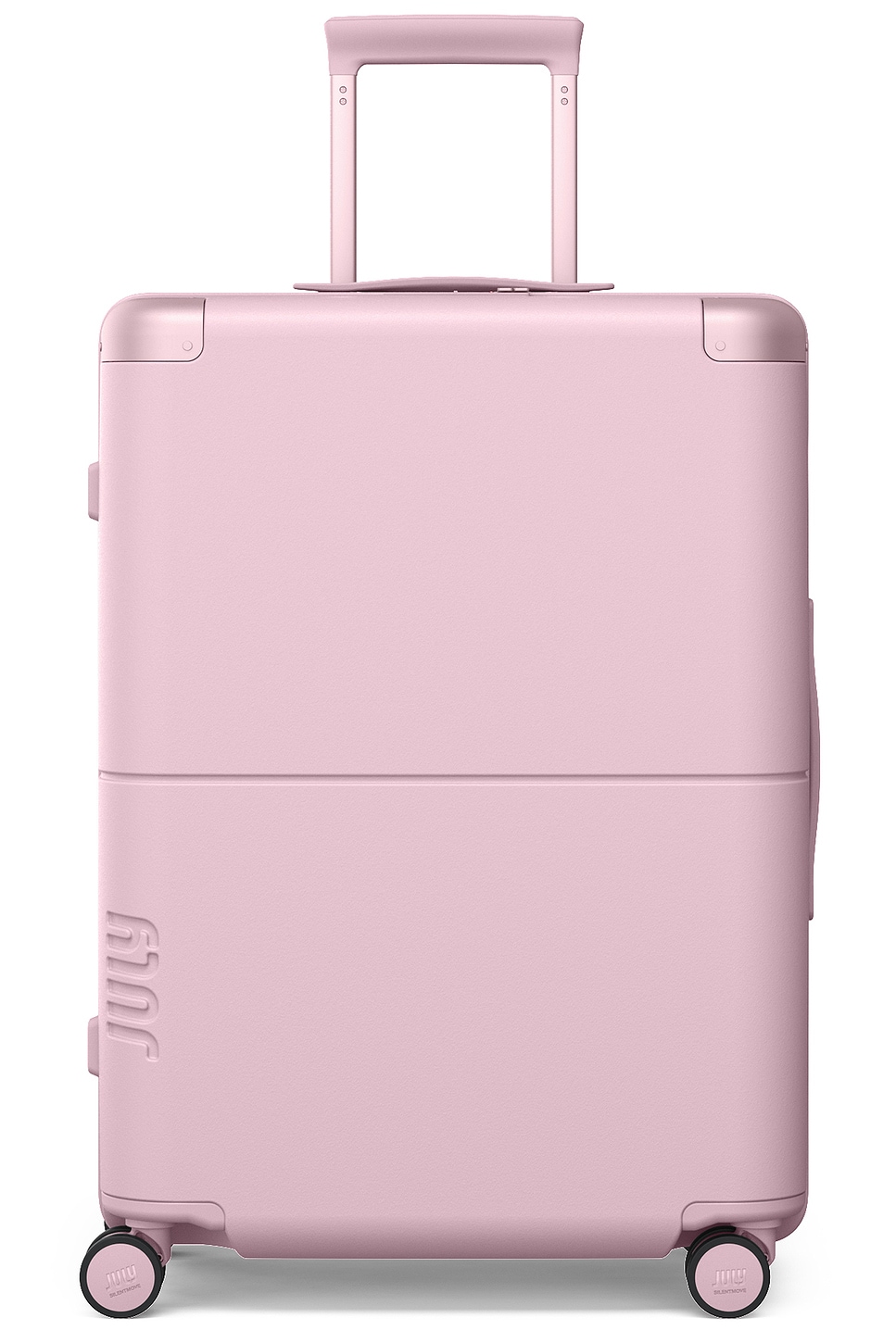 Checked Luggage