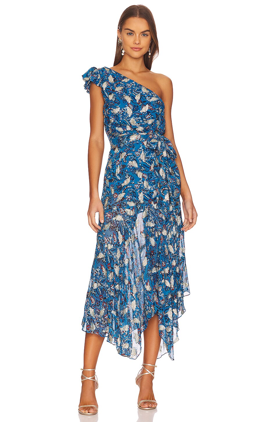 Karina Grimaldi Letizia Print Dress in Azul Garden | REVOLVE