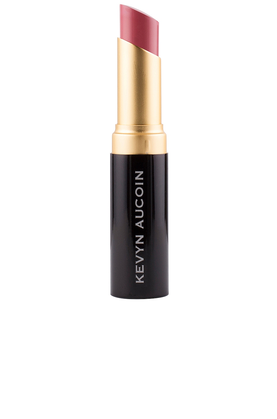 kevyn aucoin invincible