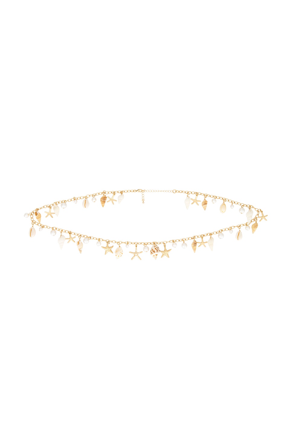 Darci Belt