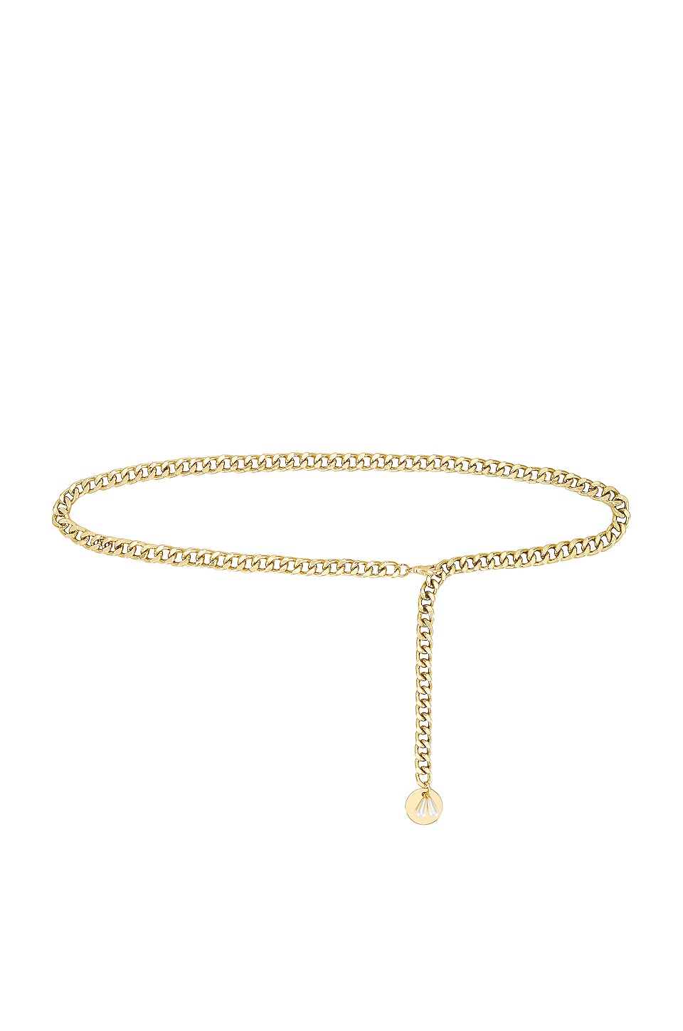 Image 1 of Everywhere Chain Belt in Gold