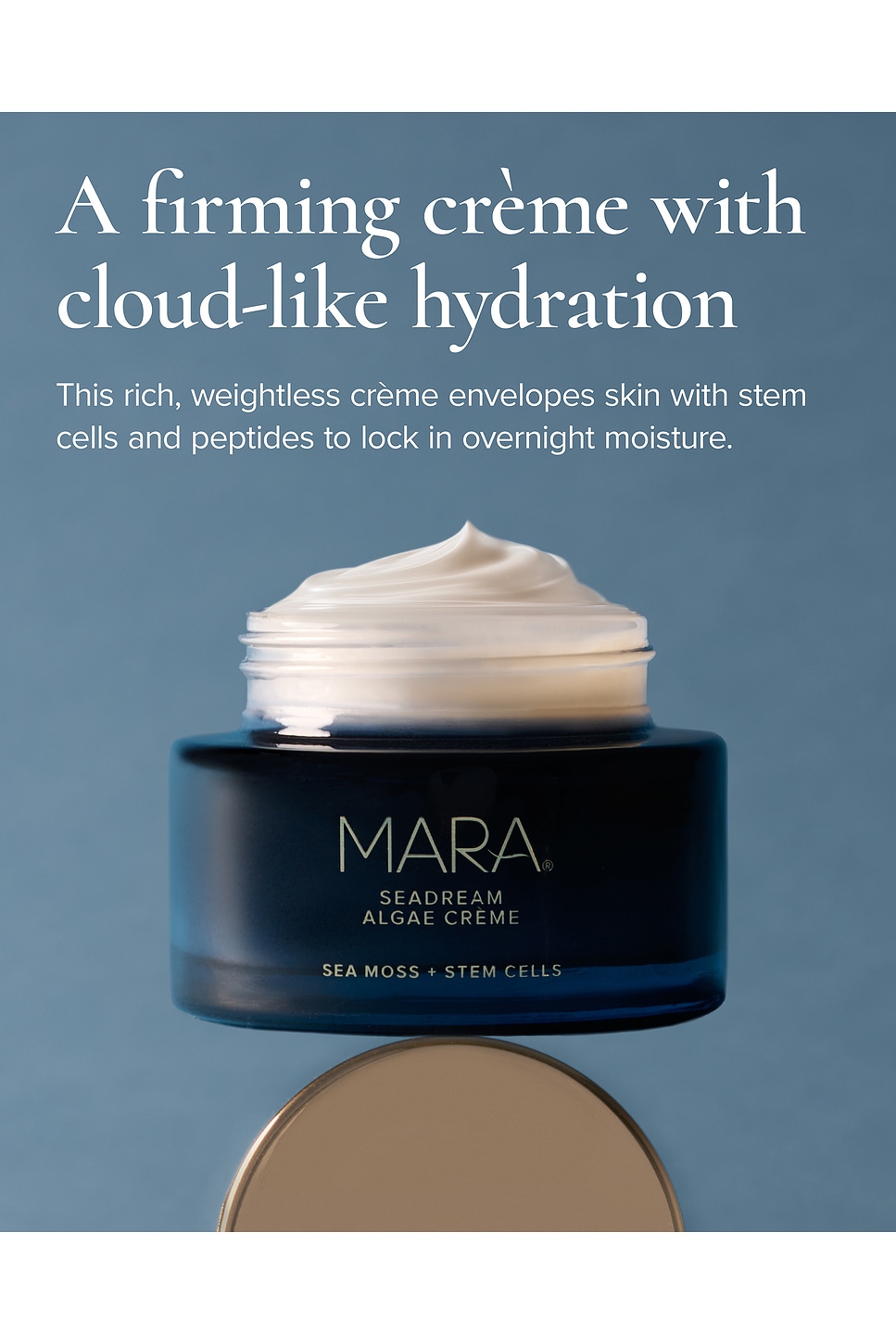 SeaDream Algae Creme Moisturizer for Firming & Tightening - thumbnail 3
