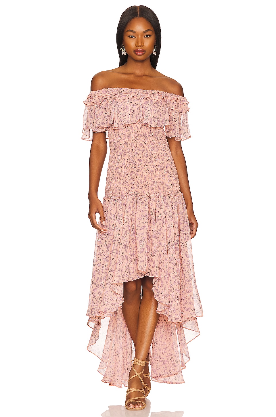 MISA Los Angeles Giada Dress in Rose Paisley | REVOLVE