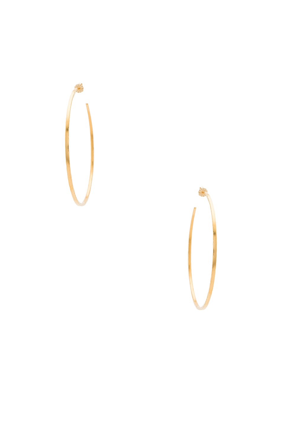 Natalie B Jewelry Classico Grande Hoops in Gold