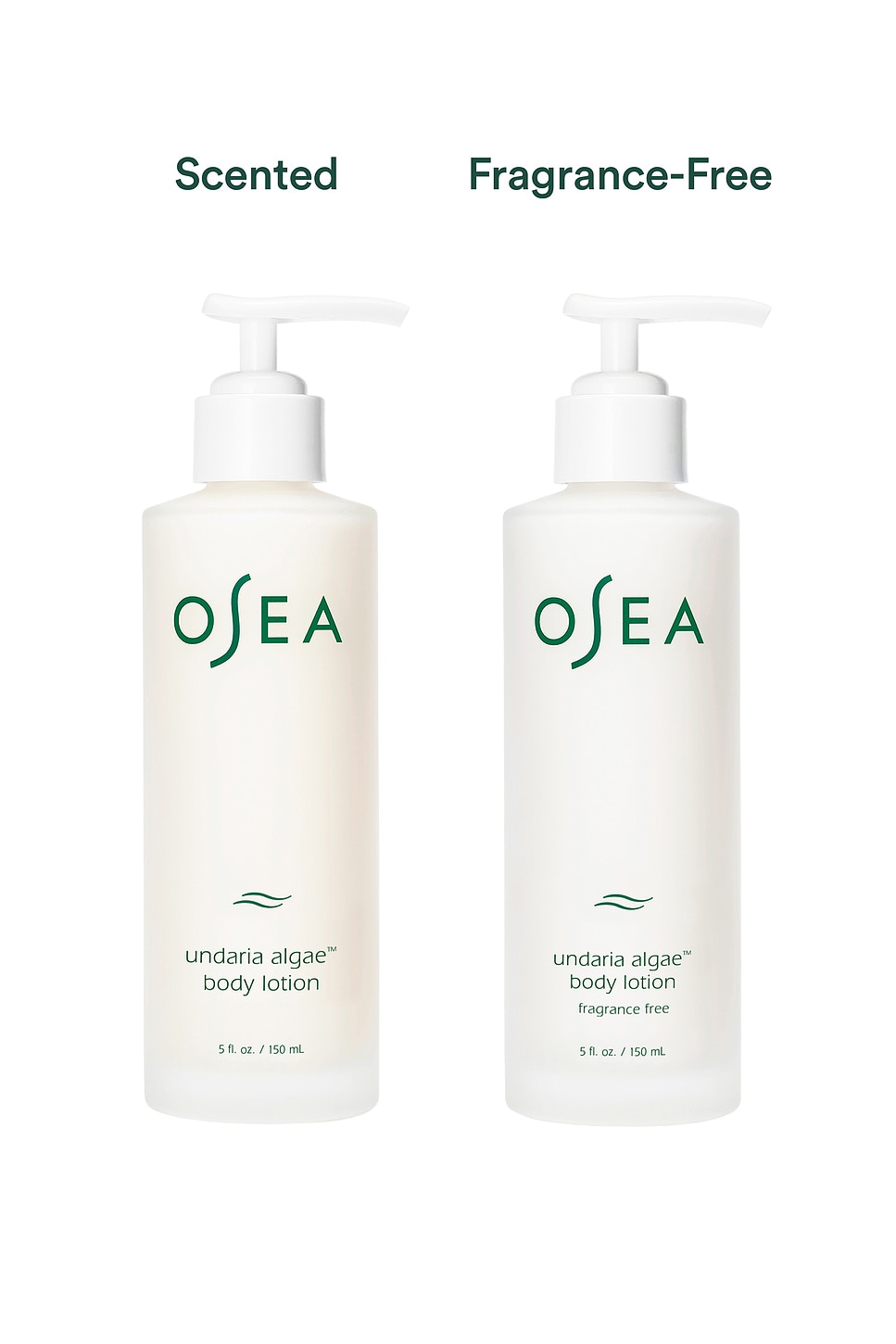 Undaria Algae Fragrance-Free Body Lotion - thumbnail 3