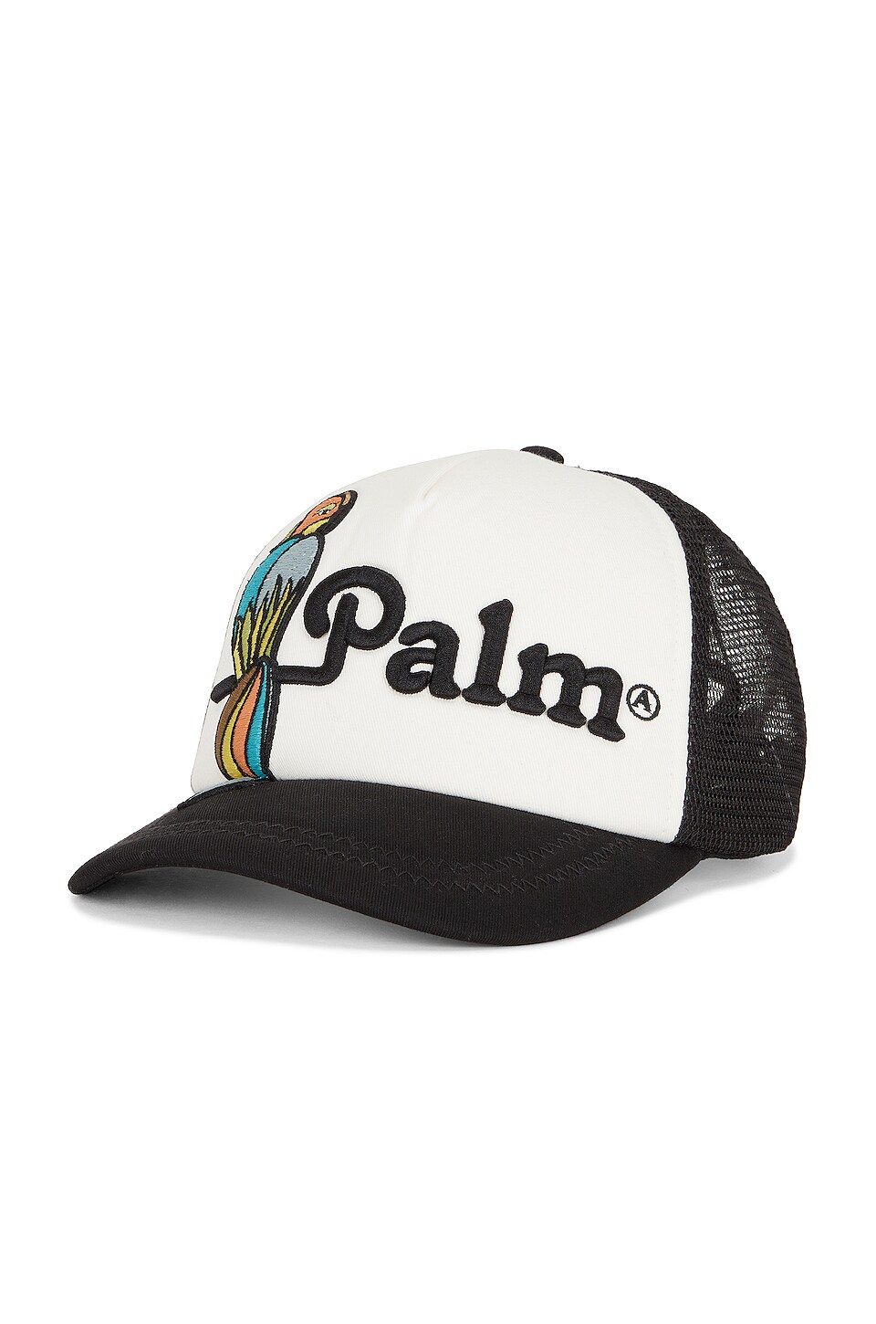 Palm Angels Parrot Cap in Black