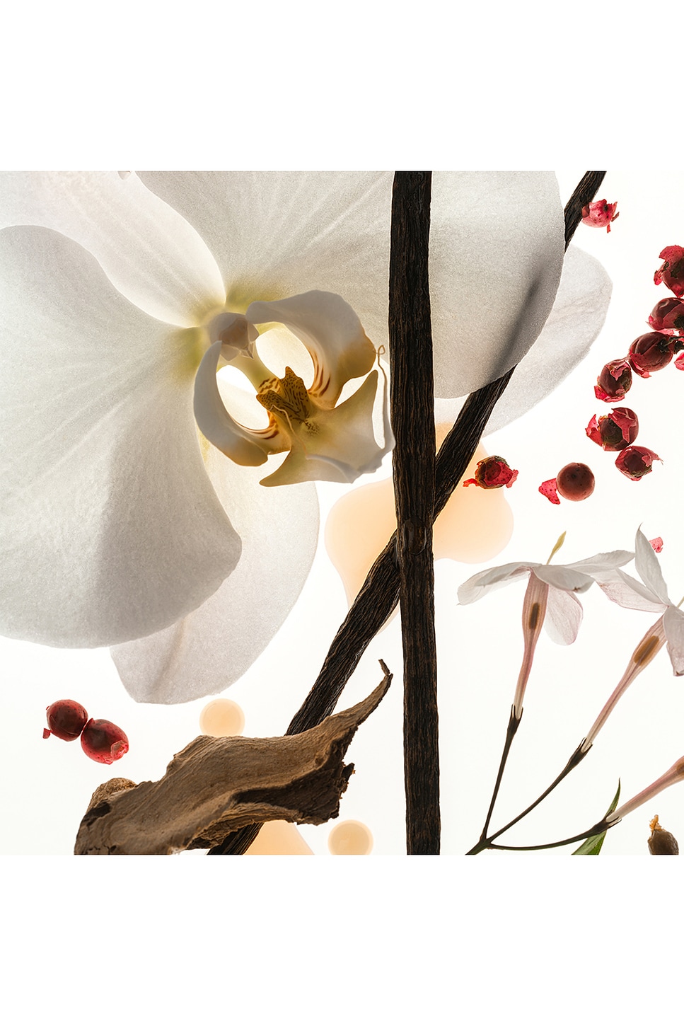 Vanilla Skin Eau De Parfum 50ml