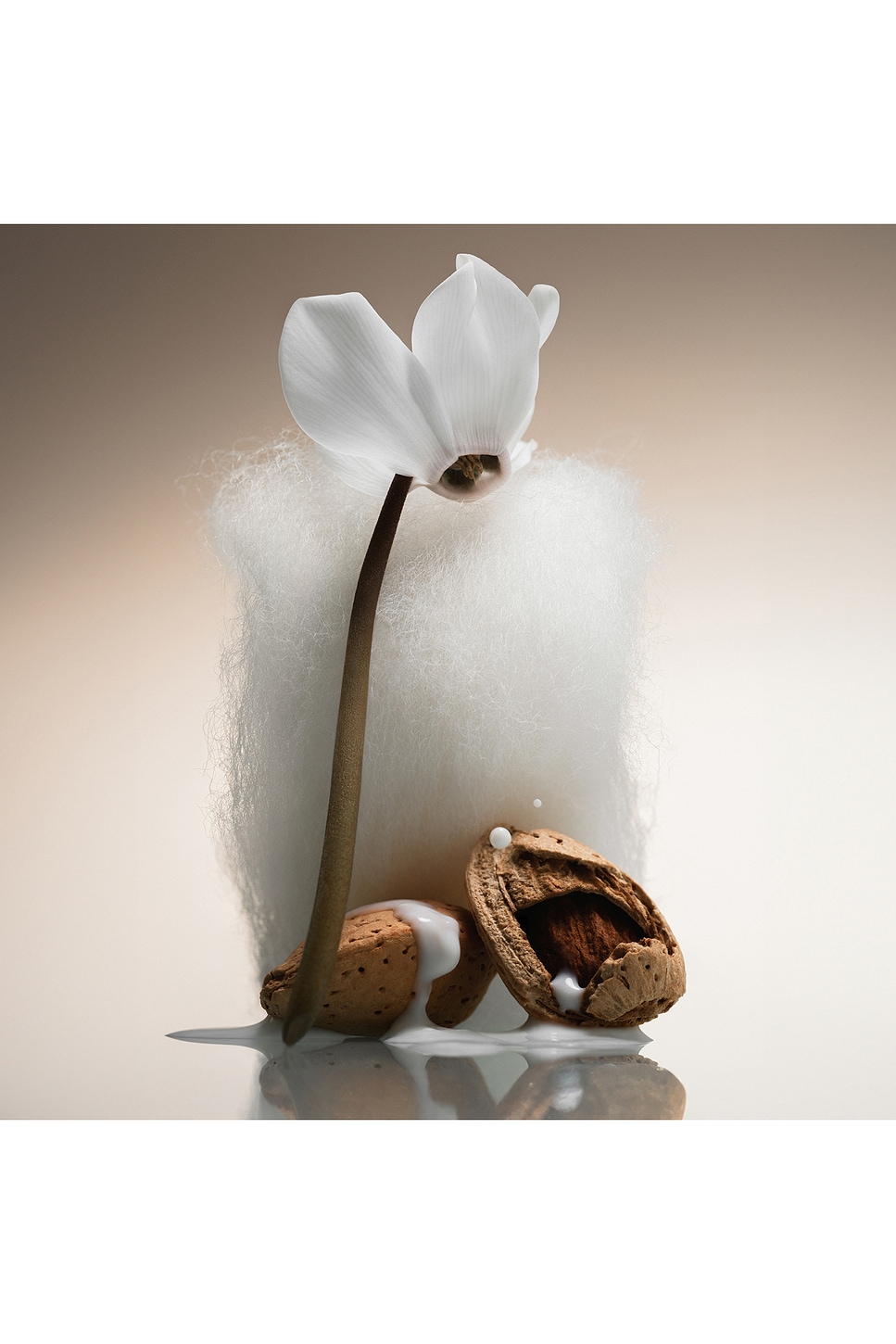 Cashmere Skin Hair And Body Mist 8oz