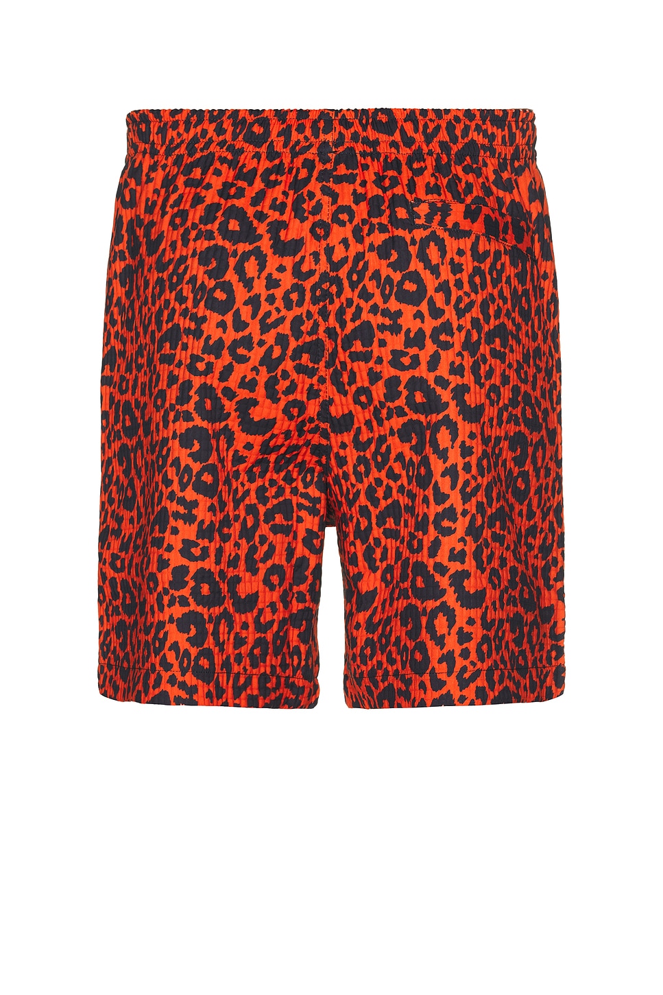 Leopard Active Shorts - Thumbnail 2