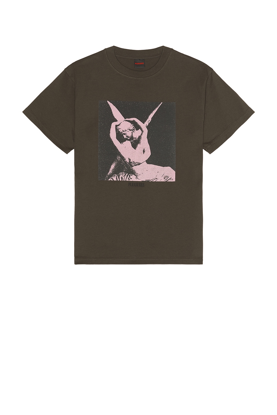 Pleasures Angel T-Shirt in Charcoal | REVOLVE