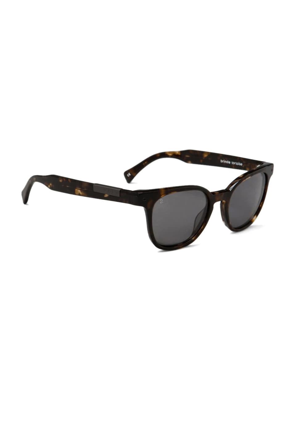 RAEN Squire in Brindle Tortoise
