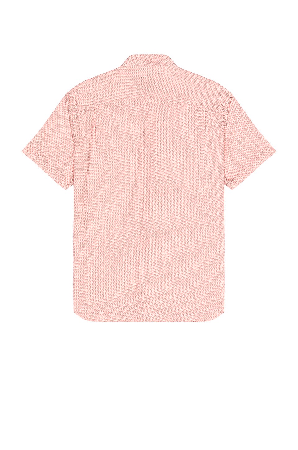 Rails Carson in Rose