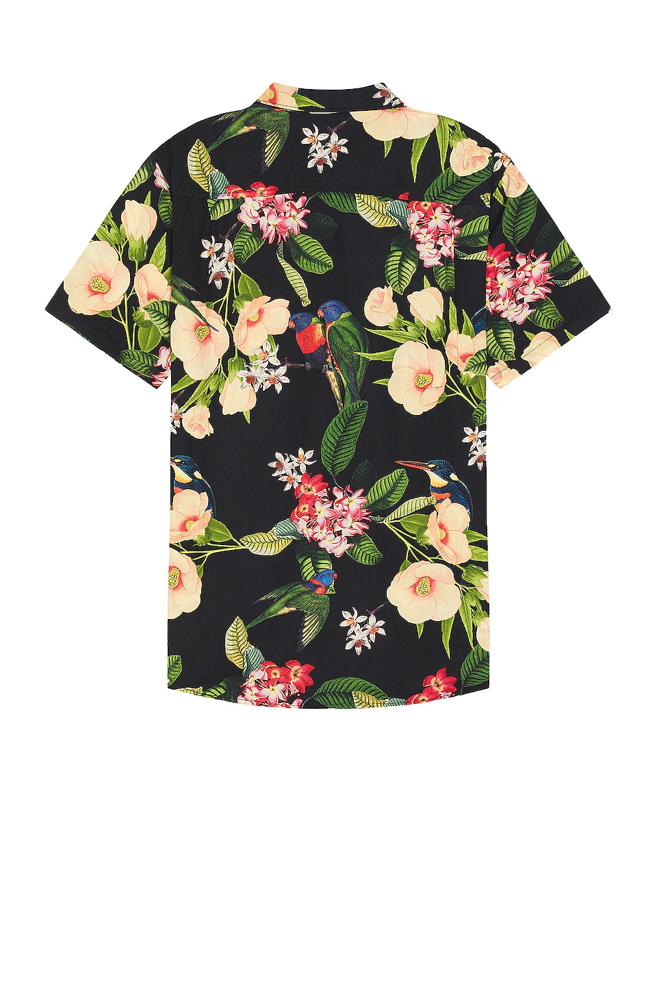 ROARK Journey Manu Floral Shirt in Black
