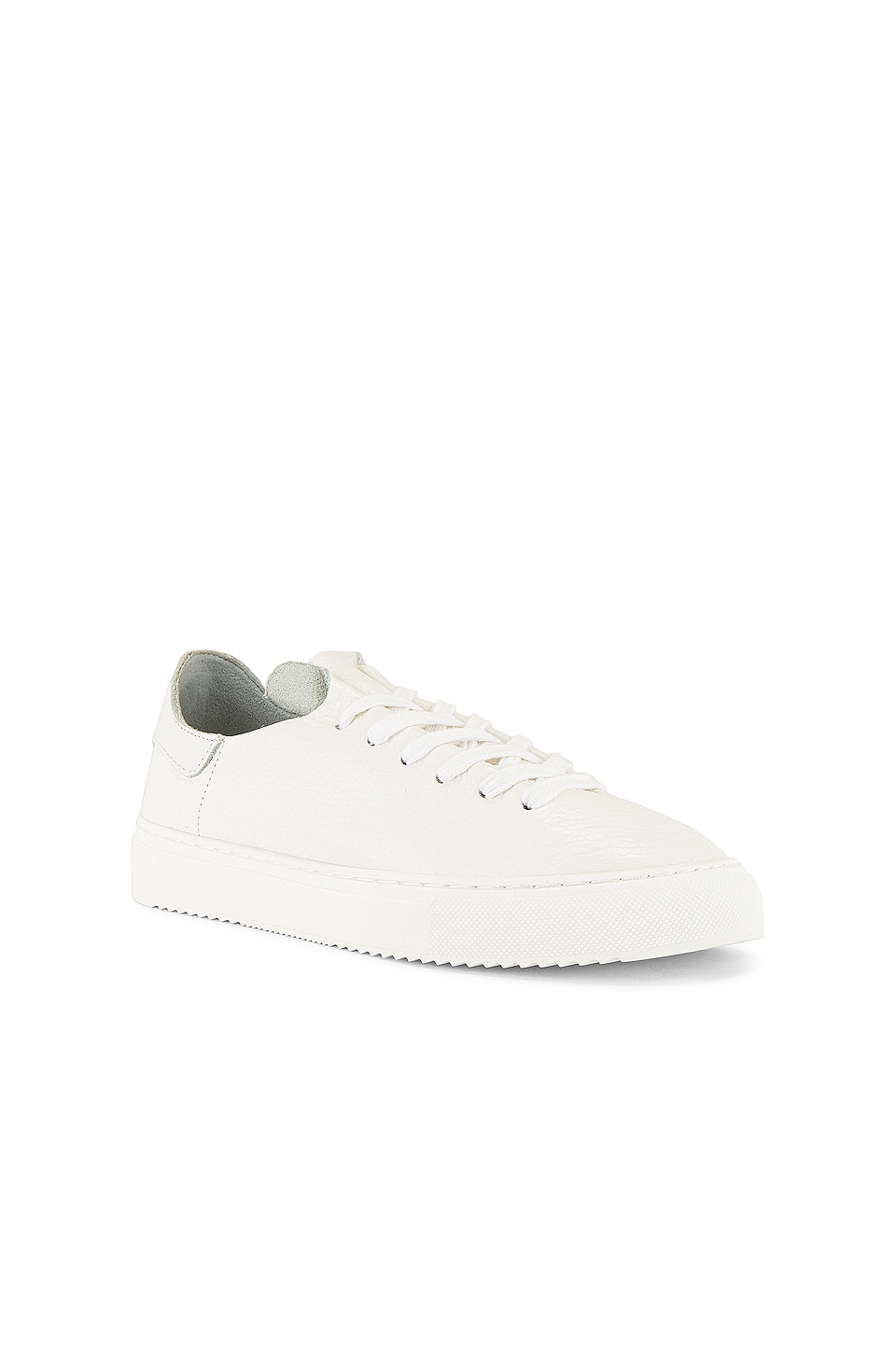 sam edelman pippy sneakers
