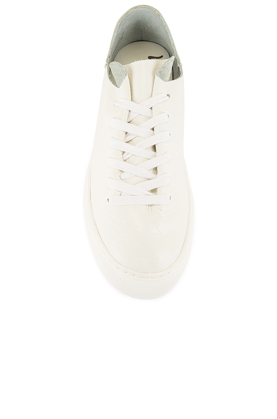 poppy lace up sneaker sam edelman