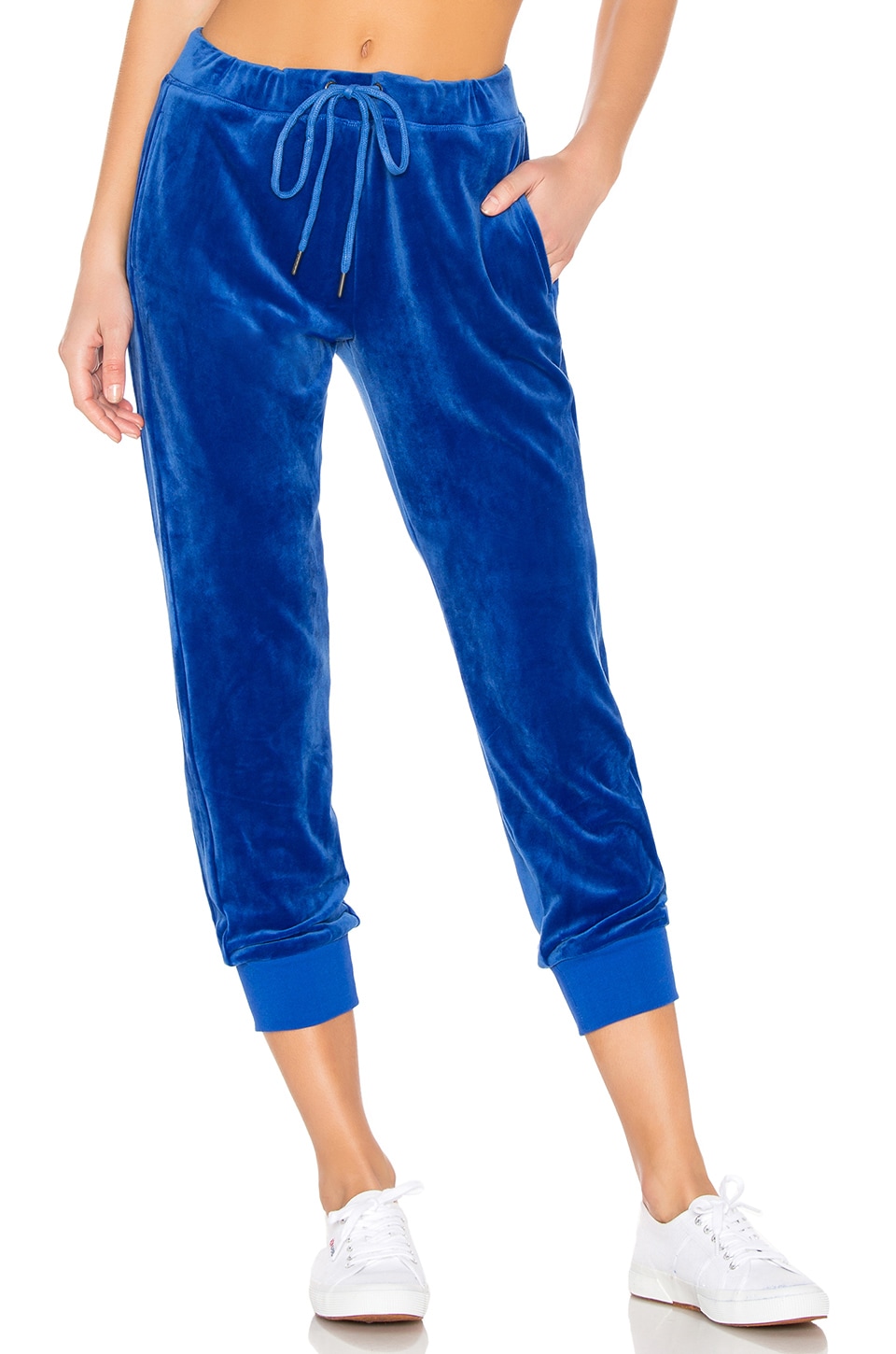 sanctuary velour joggers