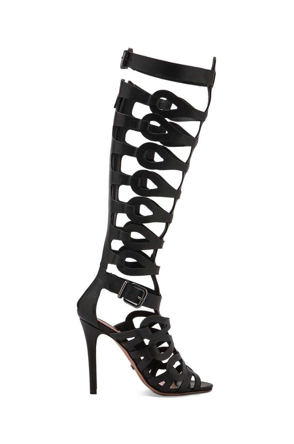 Schutz Eirini Heel en Black