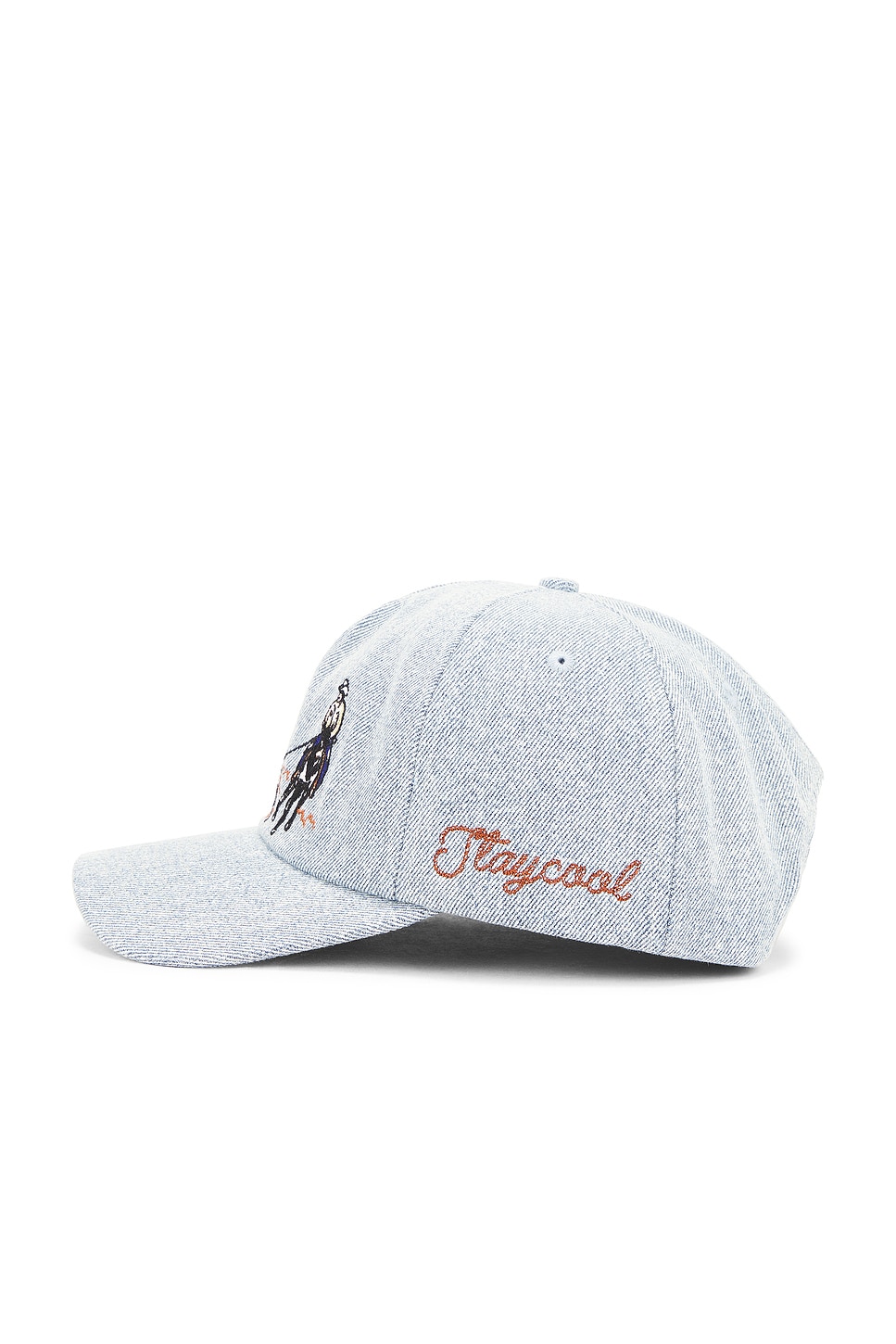 Rodeo Denim Cap