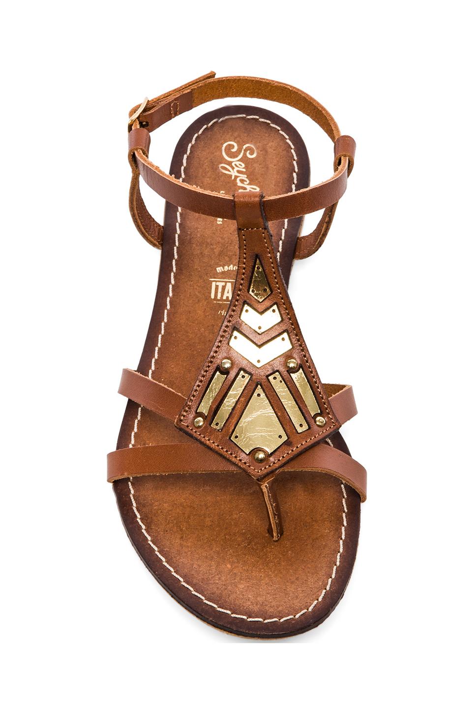 Seychelles Transfer Gladiator Sandal in Cognac | REVOLVE