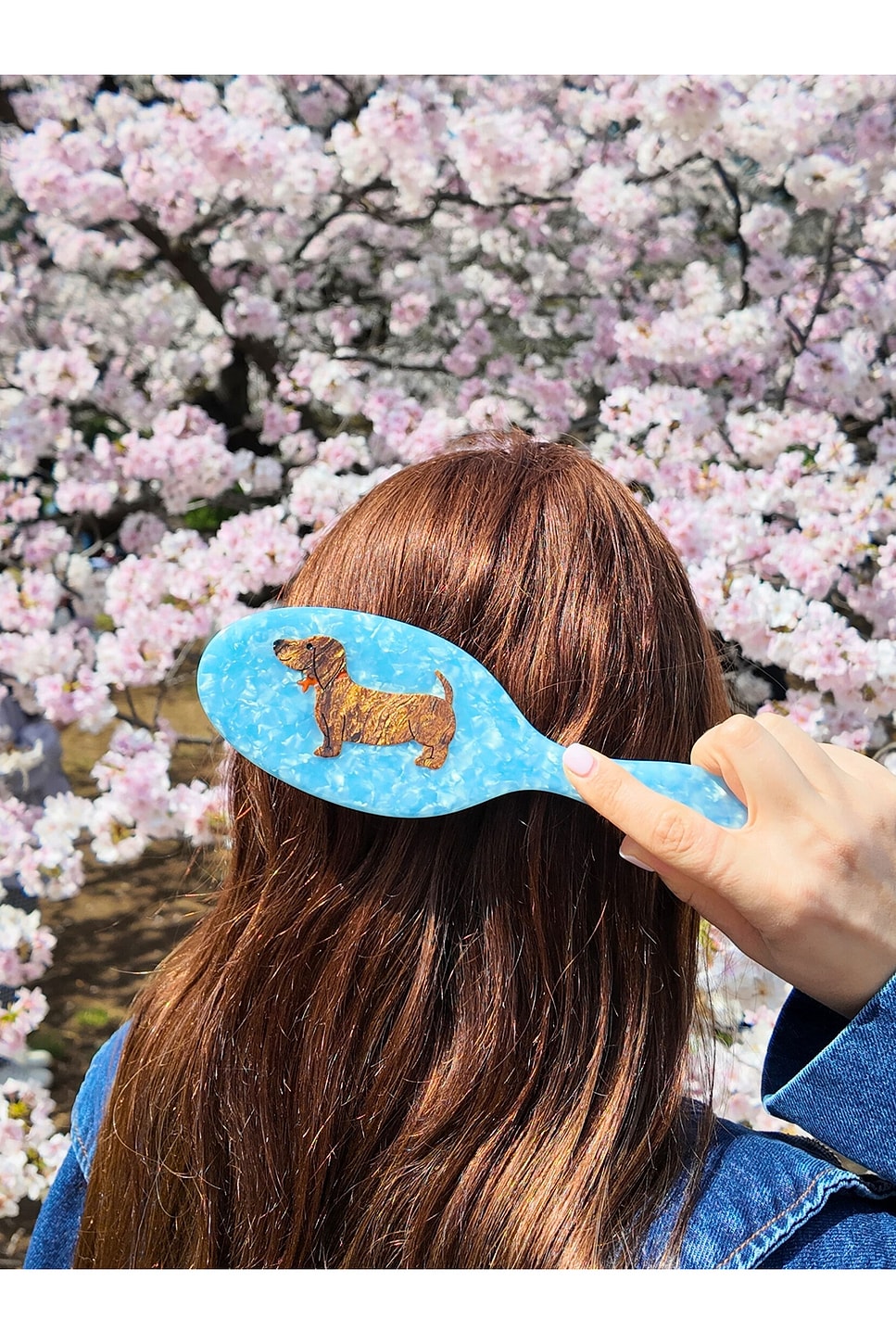 Hand-painted Dachshund Dog Acetate 2-1 Daily Hair Brush