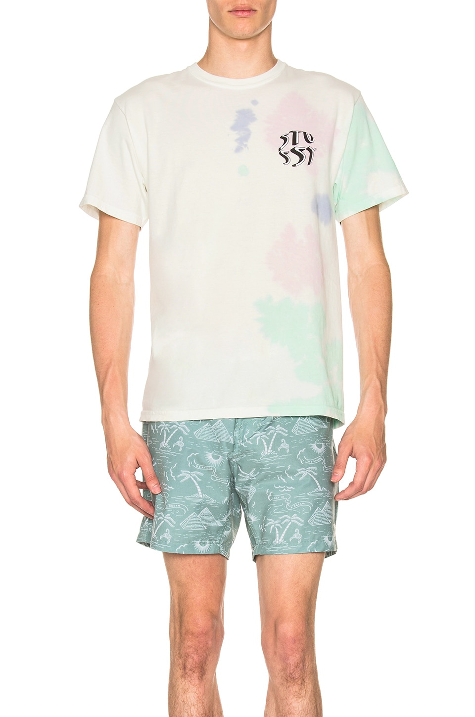 Stussy New Waves Tee in Natural | REVOLVE