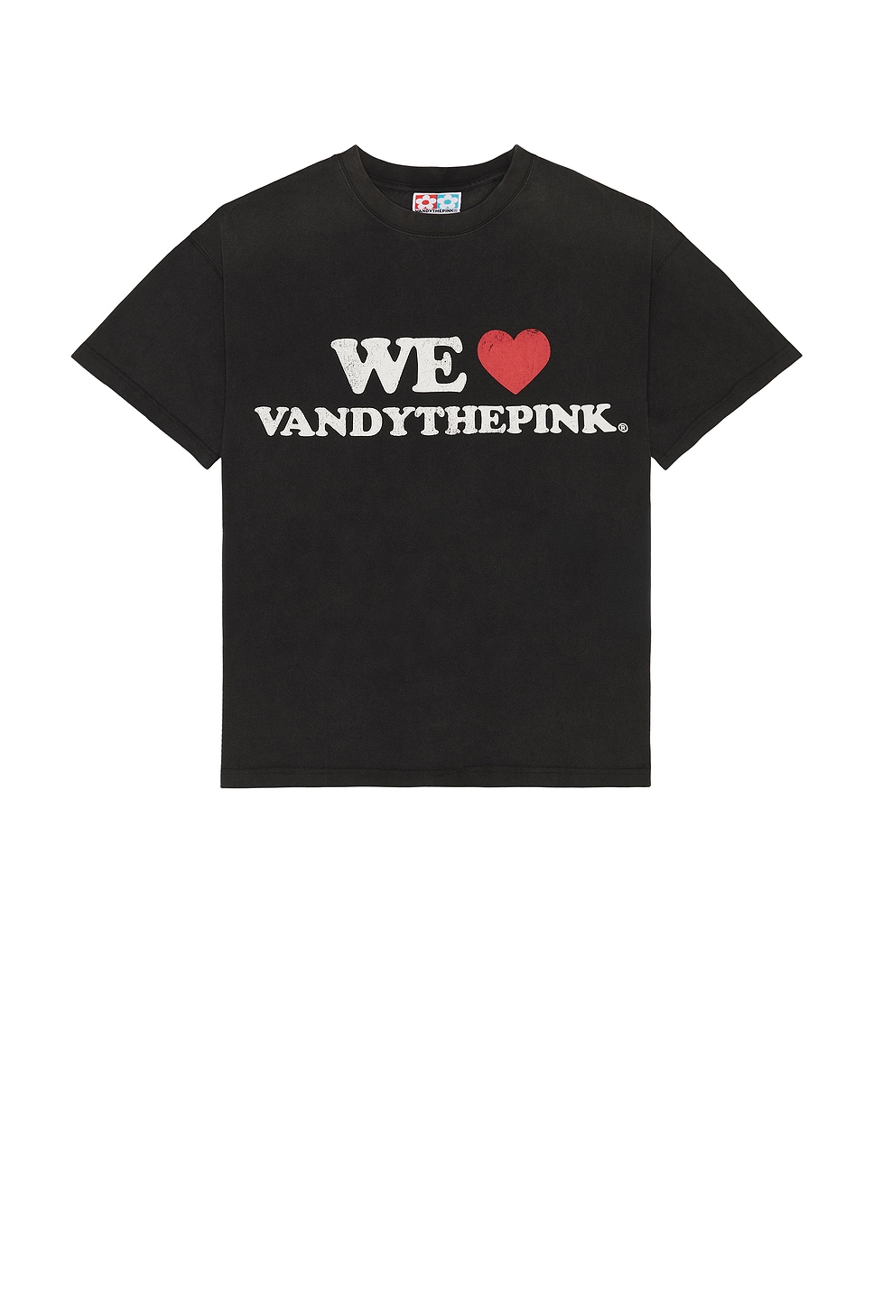 VANDYTHEPINK Tシャツ - Washed Black | REVOLVE