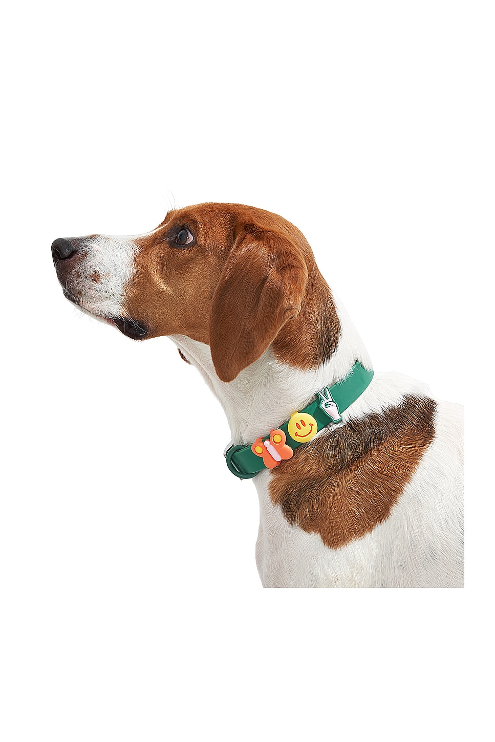 Small Flair Groovy Walk Charms Bundle