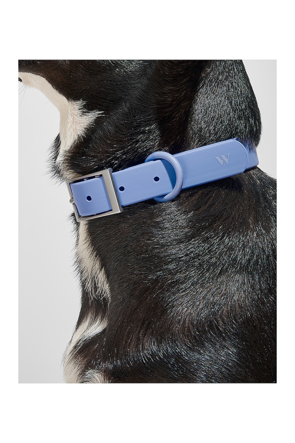 Large Colar Wild One Extra Large Collar in Moonstone | REVOLVE