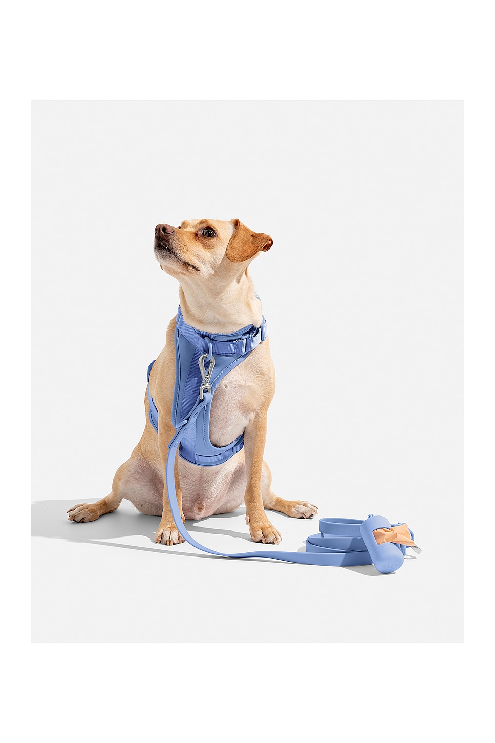 Wild One WILD ONE EXTRA SMALL HARNESS ハーネス - Moonstone | REVOLVE