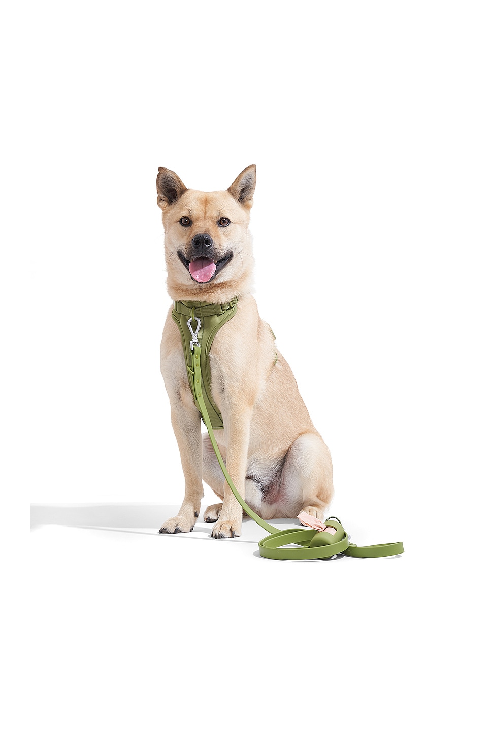 Wild One Hundegeschirr 2.0 – Medium, Pink, Weich & Dehnbar, Mit 3 Leinen-Anknüpfpunkten