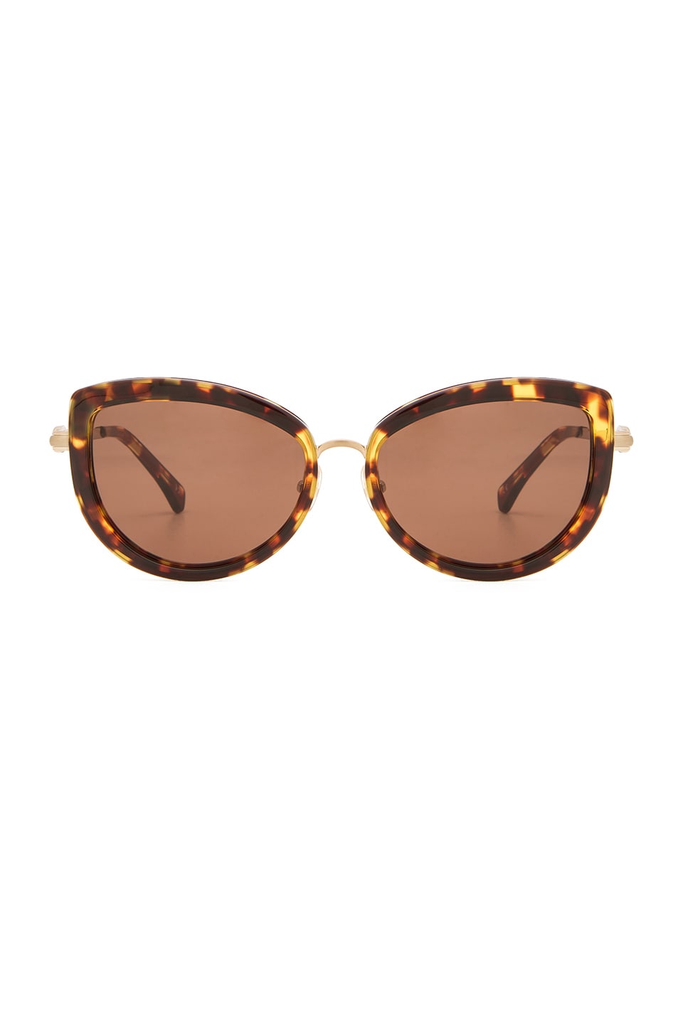 Wildfox Couture Chaton Sunglasses In Tokyo Tortoise Brown Sun Revolve