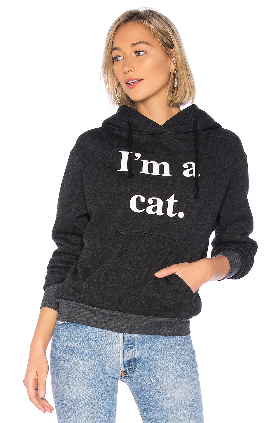 Wildfox Couture Cat Hoodie in Clean Black | REVOLVE