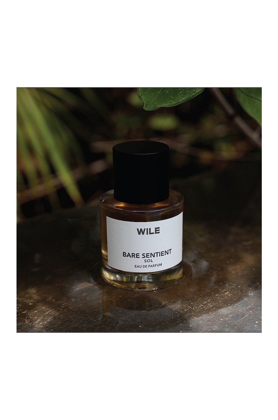 Bare Sentient Sol Eau De Parfum 50ml - thumbnail 3