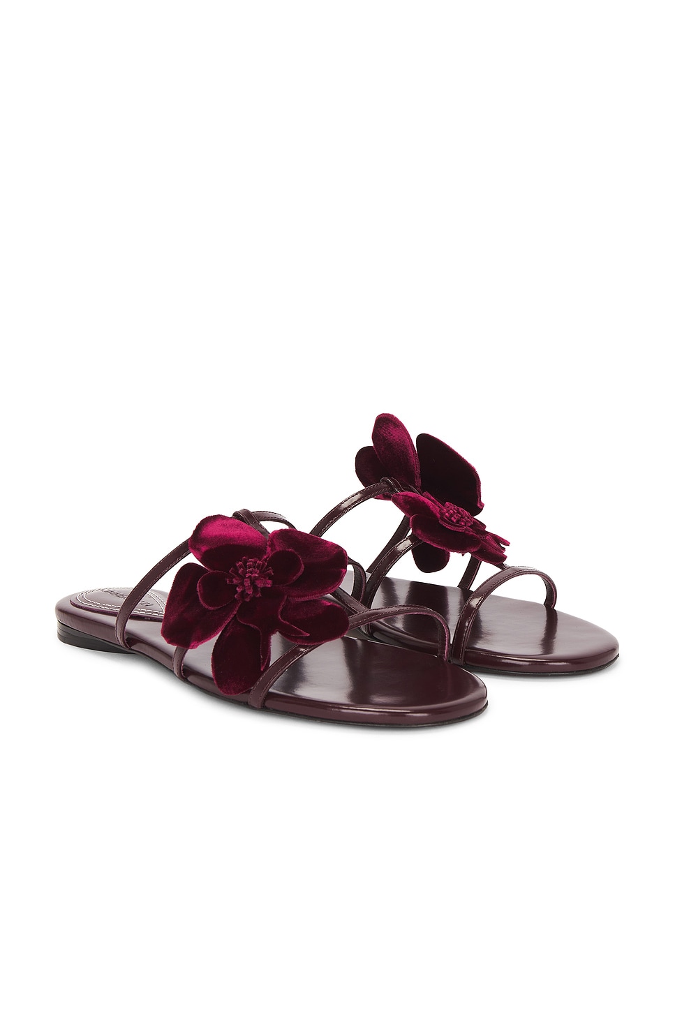 Orchid Slide